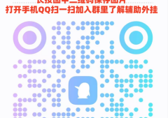 分享一个“白金岛跑胡子外挂,果然有开挂教程! - 哔哩哔哩